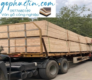 Hiểu đúng về gỗ công nghiệp, gỗ ghép thanh và gỗ tự nhiên